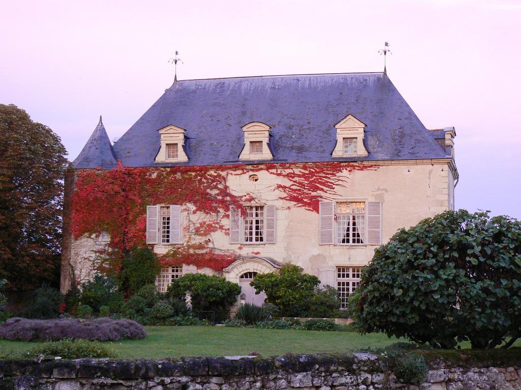 Gite Chateau De Chaintres Dampierre-sur-Loire Quarto foto
