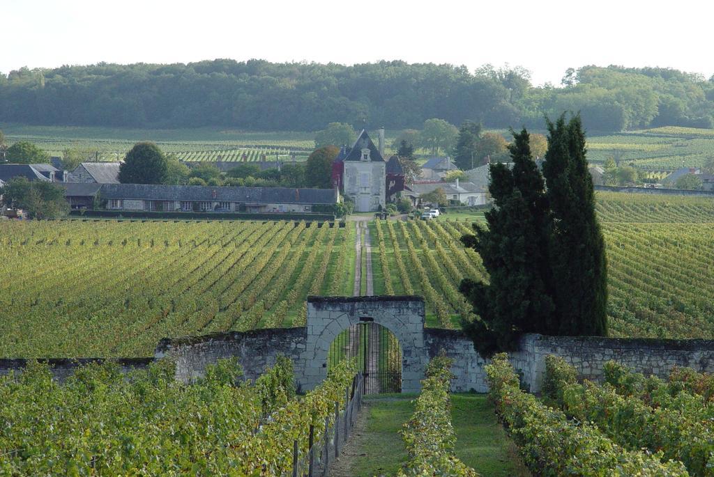 Gite Chateau De Chaintres Dampierre-sur-Loire Quarto foto